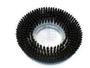 Szczotka szorująca 530mm Prolene Nilfisk BA/CA 551/611,SC2000,SC430,SC500,SC530,Scrubber SC450 53E,Scrubtec R253,BA/CA 430S/510S,BA/CA 450/530/610,BA/CA 451,SC450,Scrubtec 453,Scrubber SC450 53B,Scrubber SC450 53 E UK,Scrubtec 553 E UK,Scrubtec 545/553
